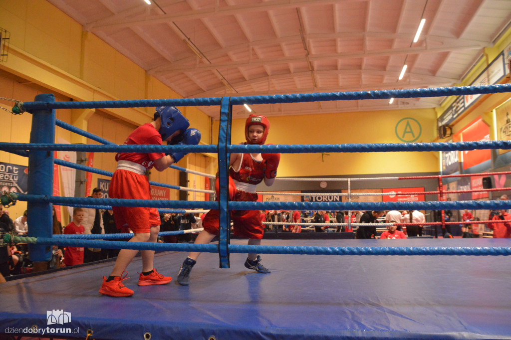 Turniej bokserski Future Champs II