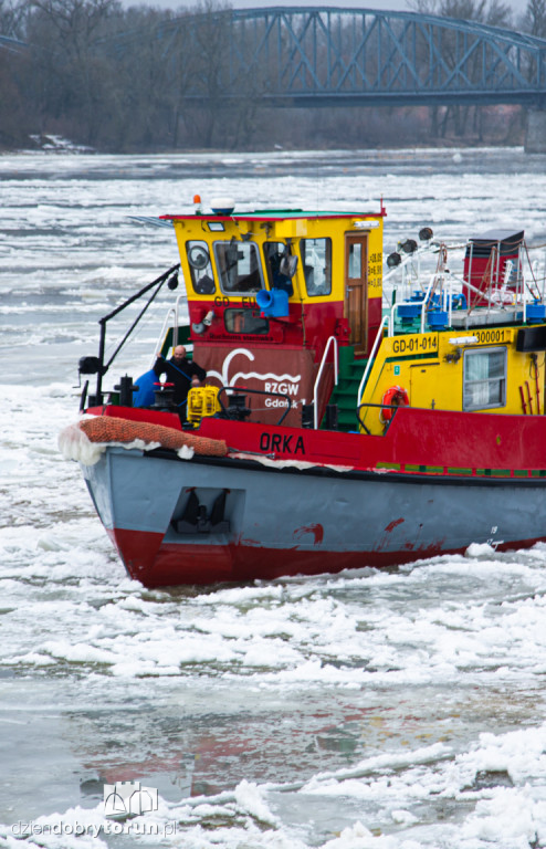 Lodołamacze dopłynęły do Torunia