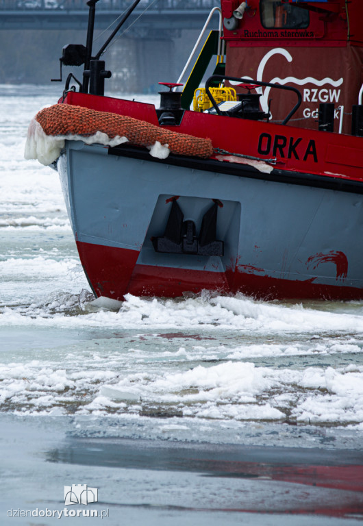 Lodołamacze dopłynęły do Torunia