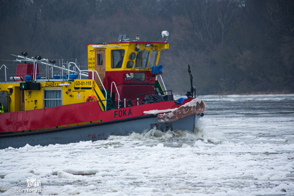 Lodołamacze dopłynęły do Torunia