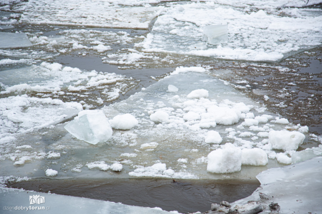 Lodołamacze dopłynęły do Torunia
