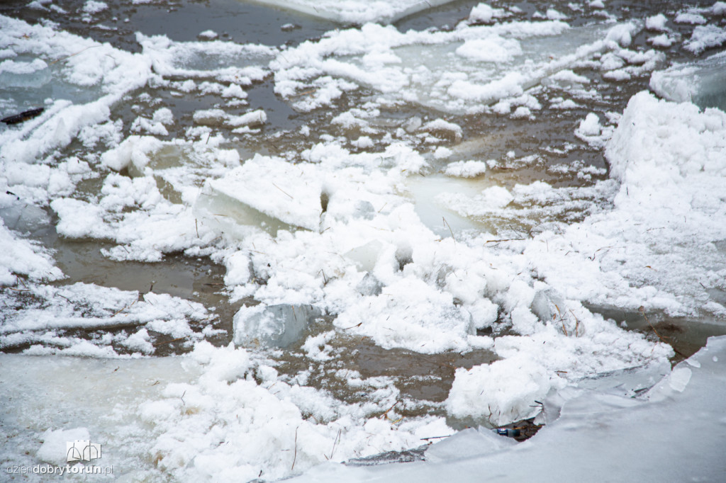 Lodołamacze dopłynęły do Torunia