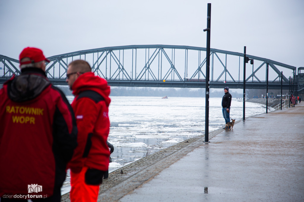 Lodołamacze dopłynęły do Torunia