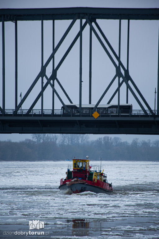 Lodołamacze dopłynęły do Torunia