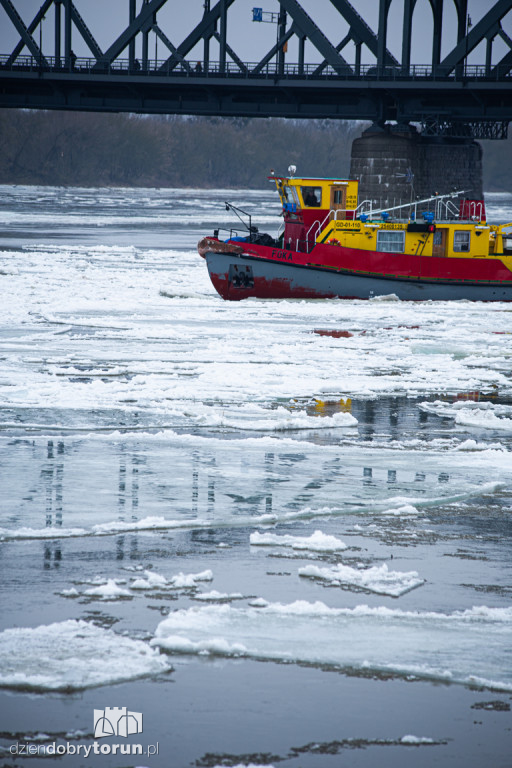 Lodołamacze dopłynęły do Torunia