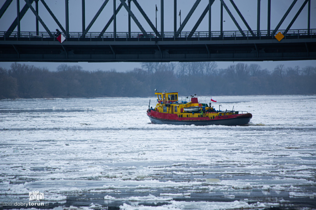 Lodołamacze dopłynęły do Torunia