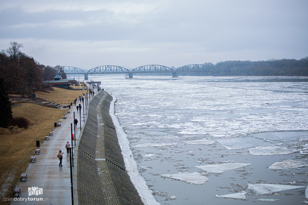 Lodołamacze dopłynęły do Torunia