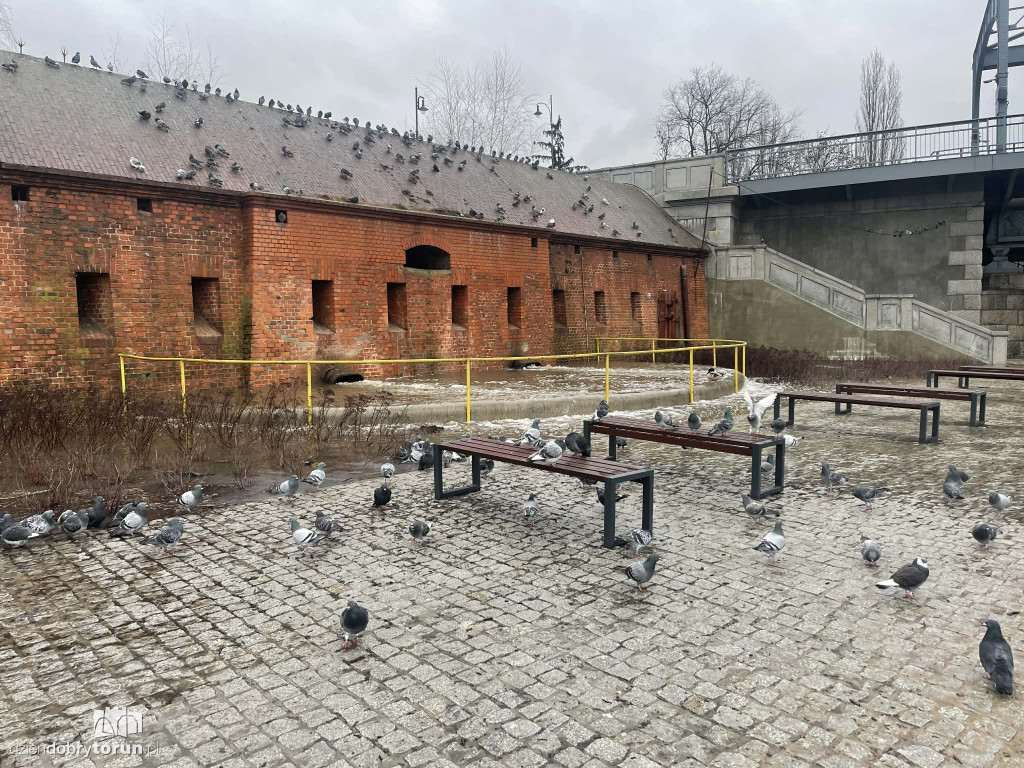 Awaria na Bulwarze Filadelfijskim