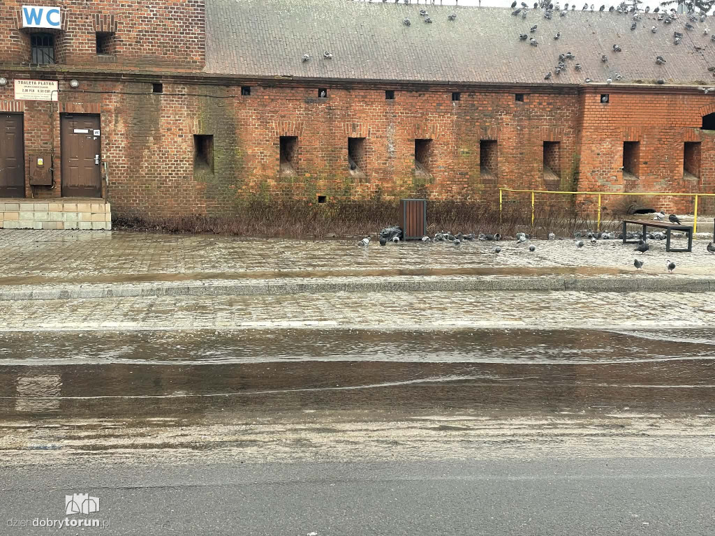 Awaria na Bulwarze Filadelfijskim