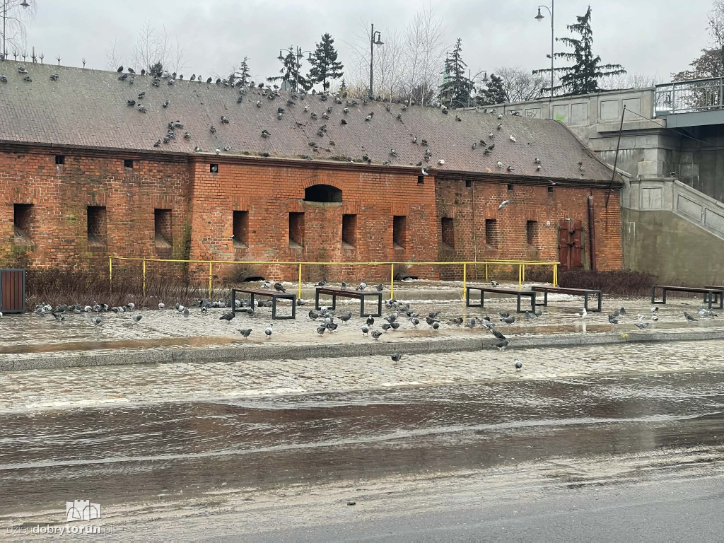 Awaria na Bulwarze Filadelfijskim