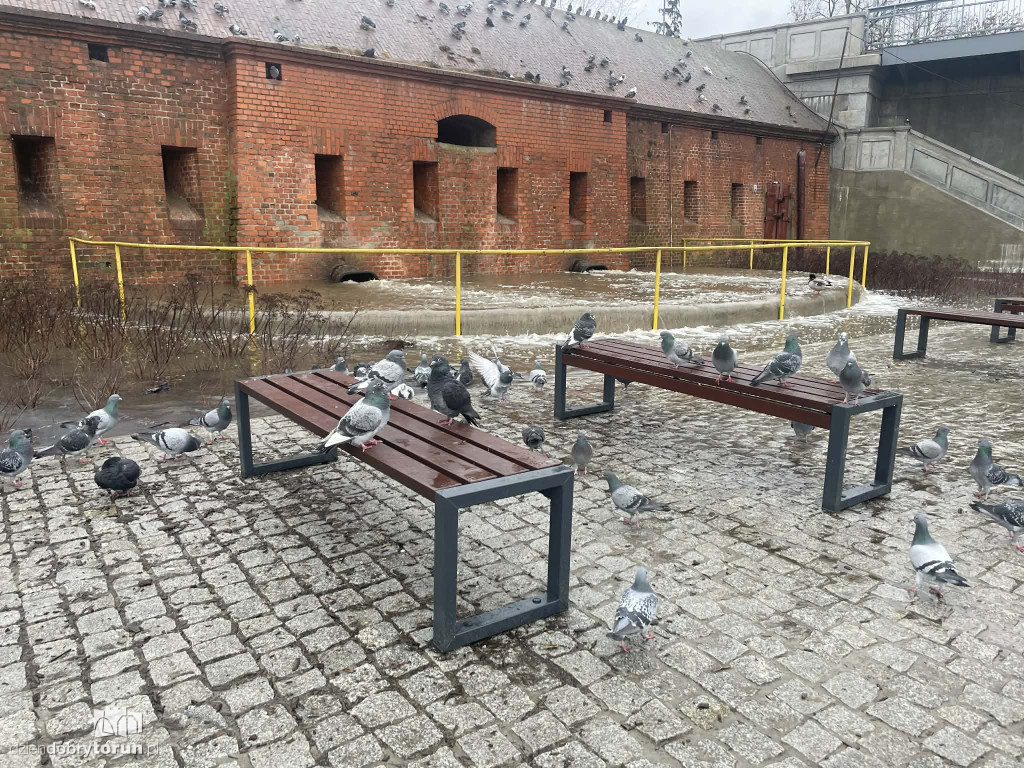 Awaria na Bulwarze Filadelfijskim