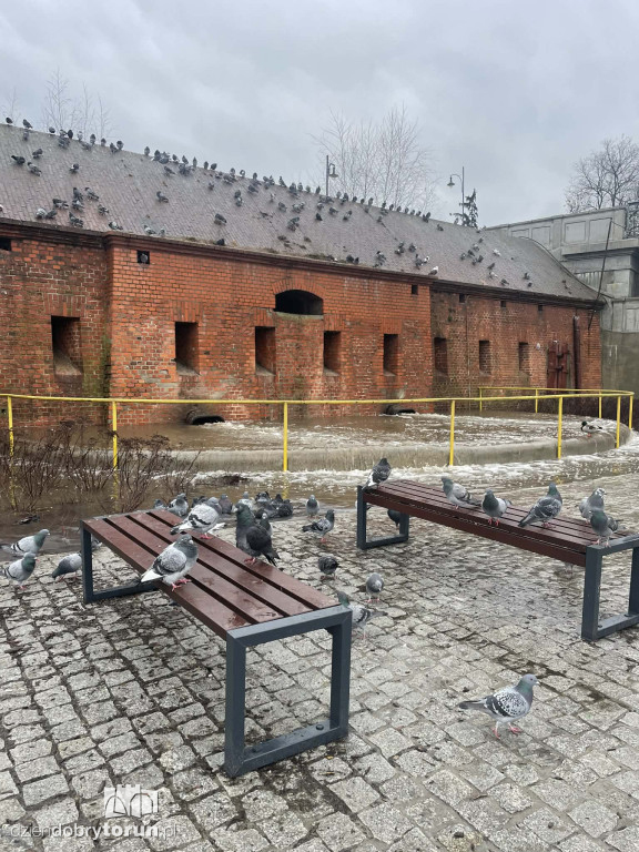 Awaria na Bulwarze Filadelfijskim