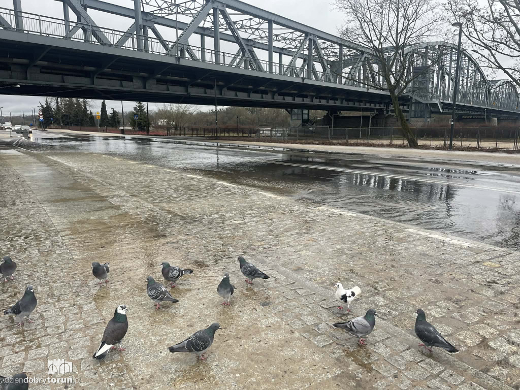 Awaria na Bulwarze Filadelfijskim