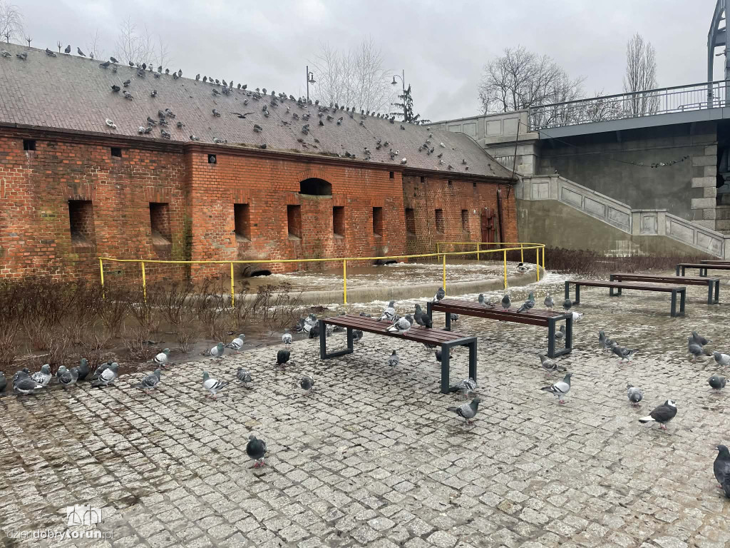 Awaria na Bulwarze Filadelfijskim