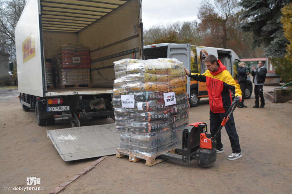 Karma dotarła do toruńskiego schroniska