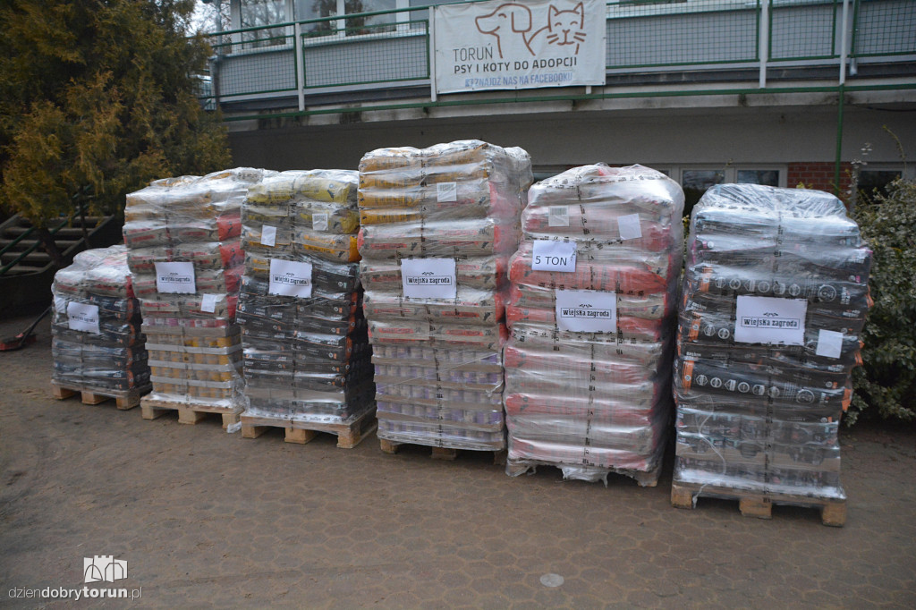 Karma dotarła do toruńskiego schroniska