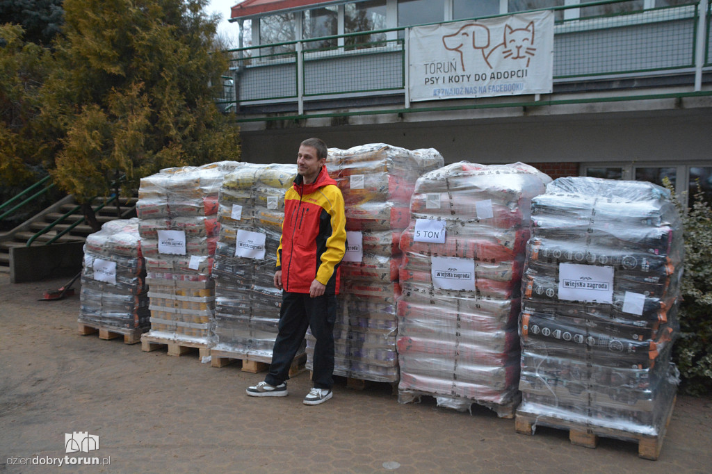 Karma dotarła do toruńskiego schroniska