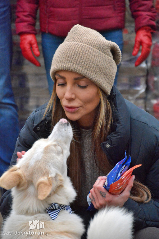Karma dotarła do toruńskiego schroniska