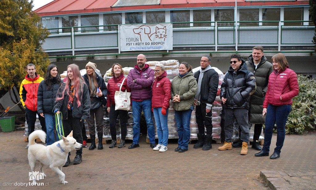 Karma dotarła do toruńskiego schroniska