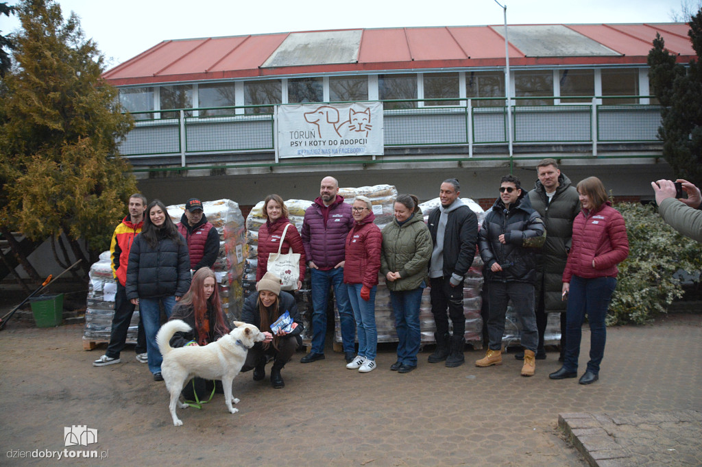 Karma dotarła do toruńskiego schroniska
