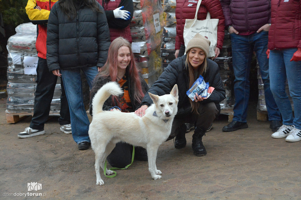 Karma dotarła do toruńskiego schroniska