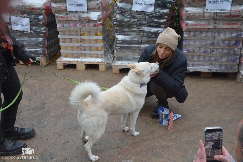 Karma dotarła do toruńskiego schroniska