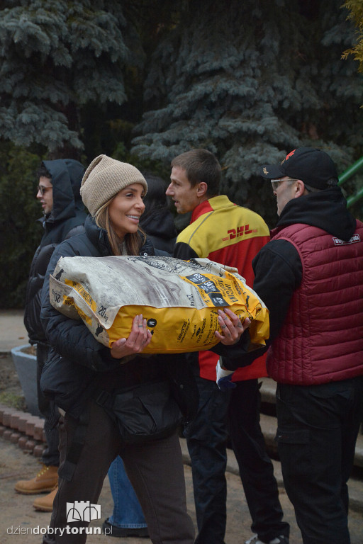 Karma dotarła do toruńskiego schroniska