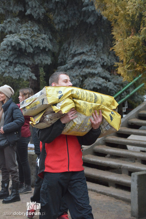 Karma dotarła do toruńskiego schroniska