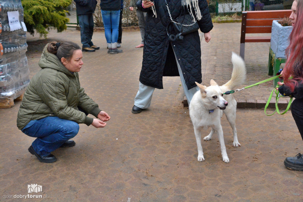 Karma dotarła do toruńskiego schroniska