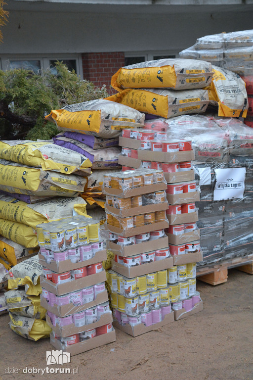 Karma dotarła do toruńskiego schroniska