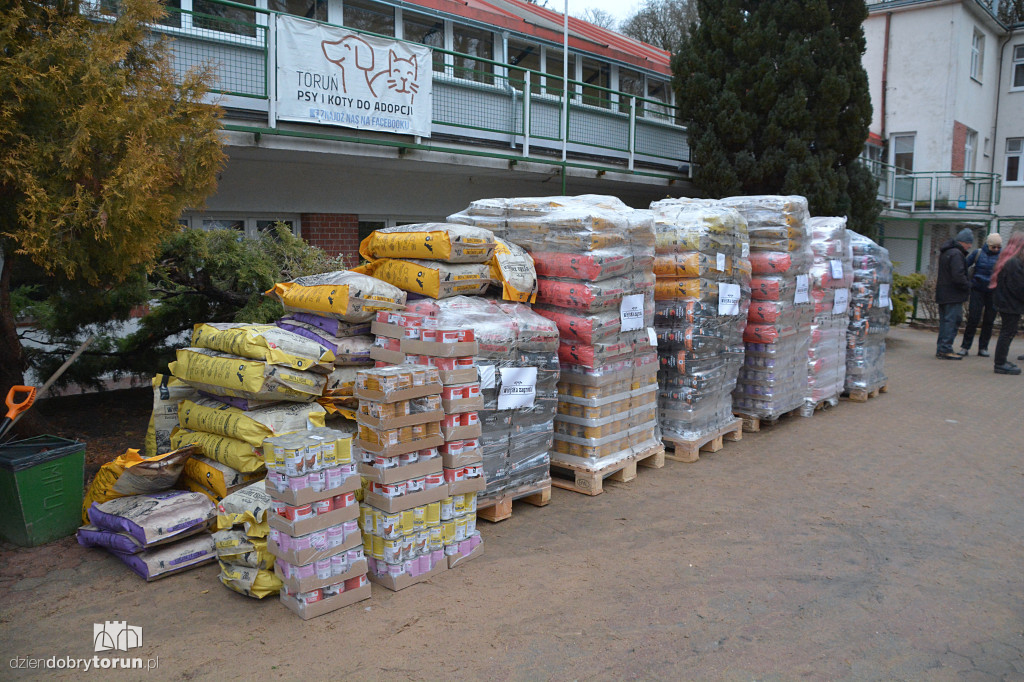 Karma dotarła do toruńskiego schroniska