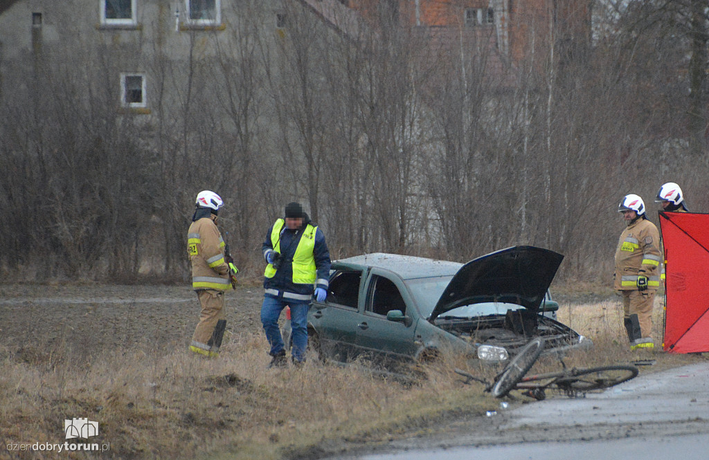 Śmiertelny wypadek w Arianach