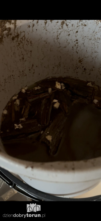 Dybowska 6 - Strop runął, woda wciąż leci