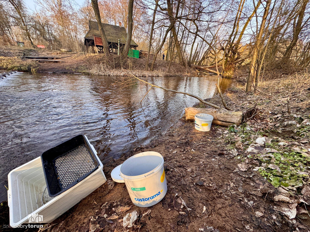 Z wody wydobyto zwłoki mężczyzny