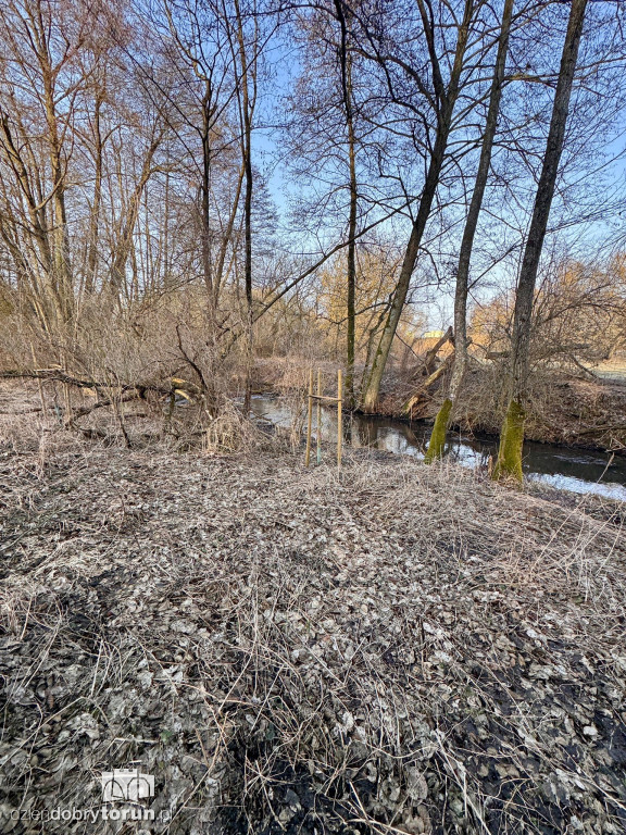 Z wody wydobyto zwłoki mężczyzny