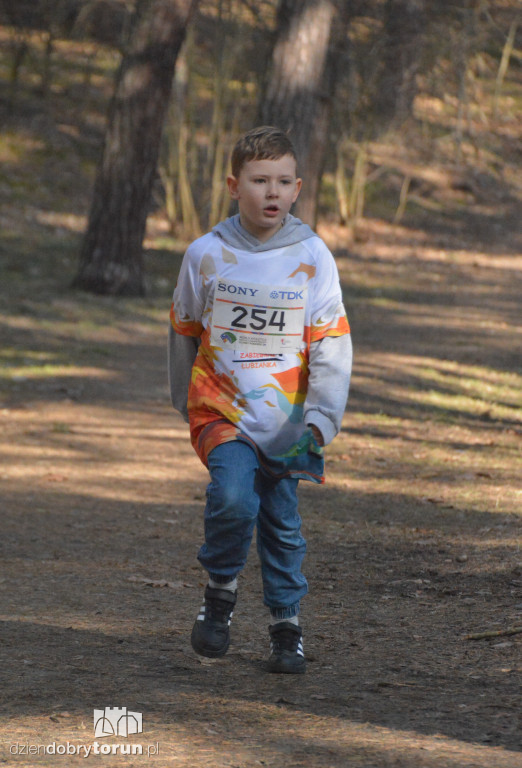 Mali biegacze w akcji. Liczył się uśmiech i medal