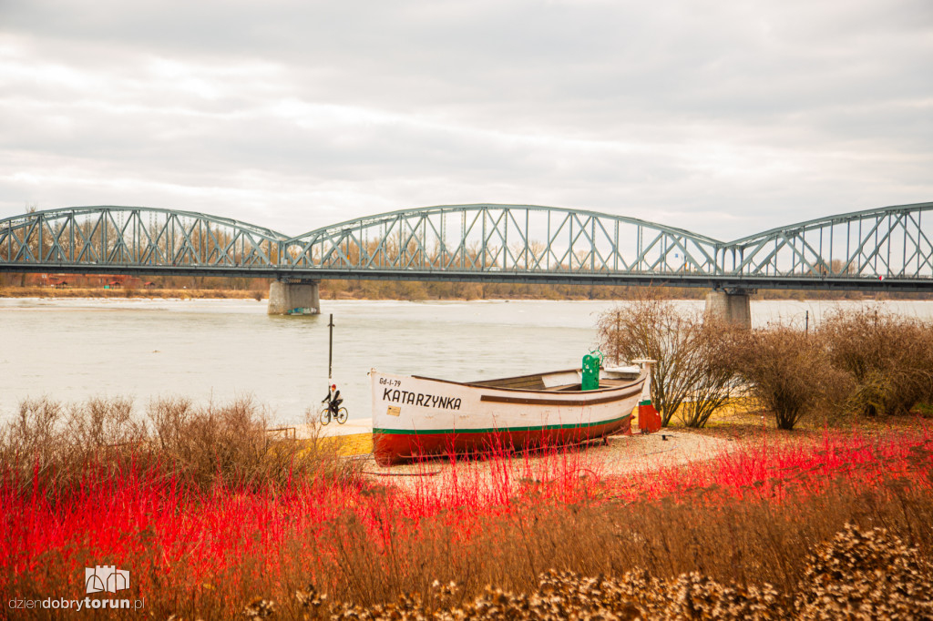 Pierwszy dzień meteorologicznej wiosny