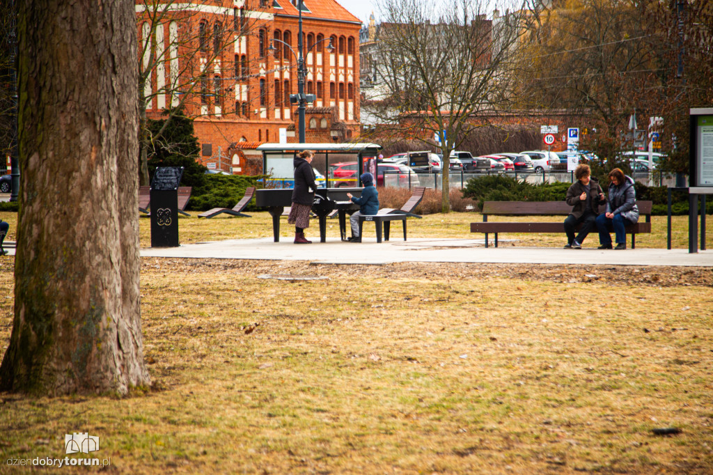 Pierwszy dzień meteorologicznej wiosny