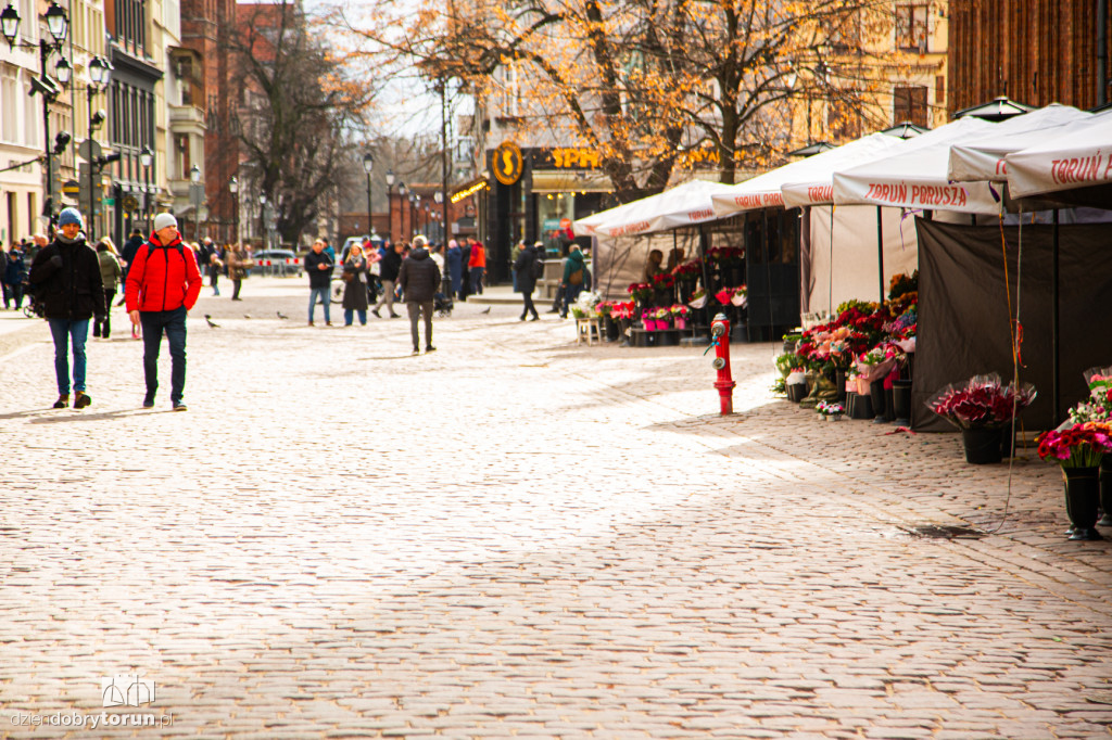 Pierwszy dzień meteorologicznej wiosny