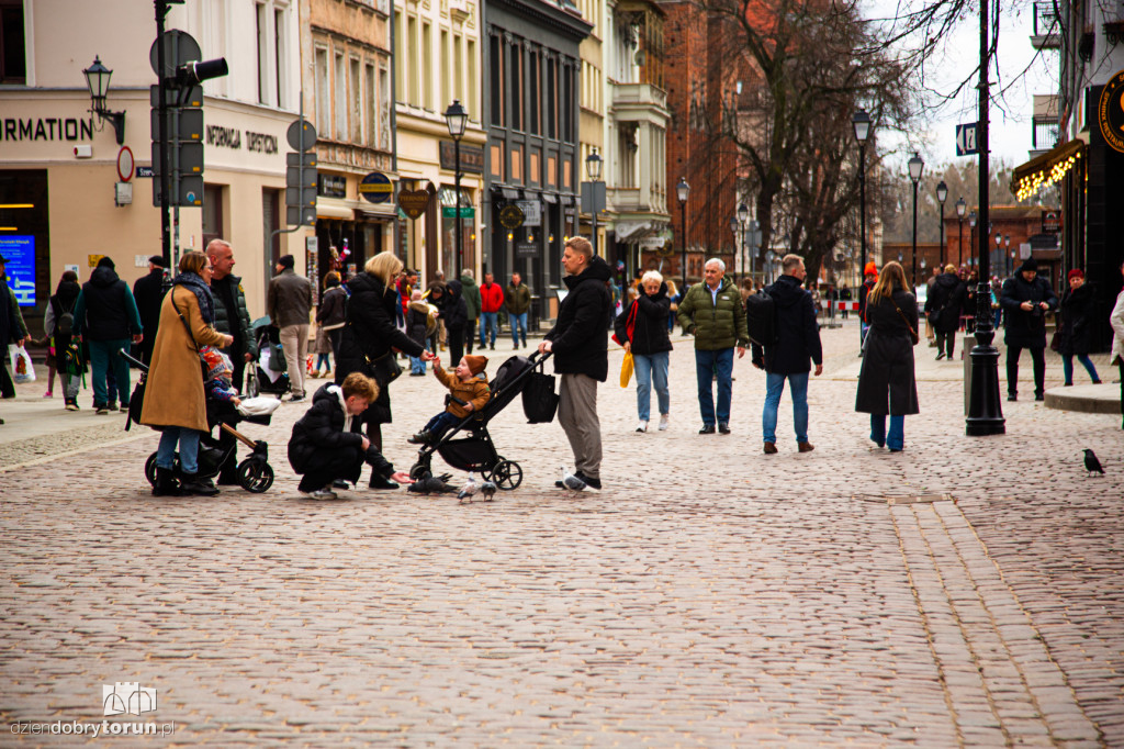 Pierwszy dzień meteorologicznej wiosny