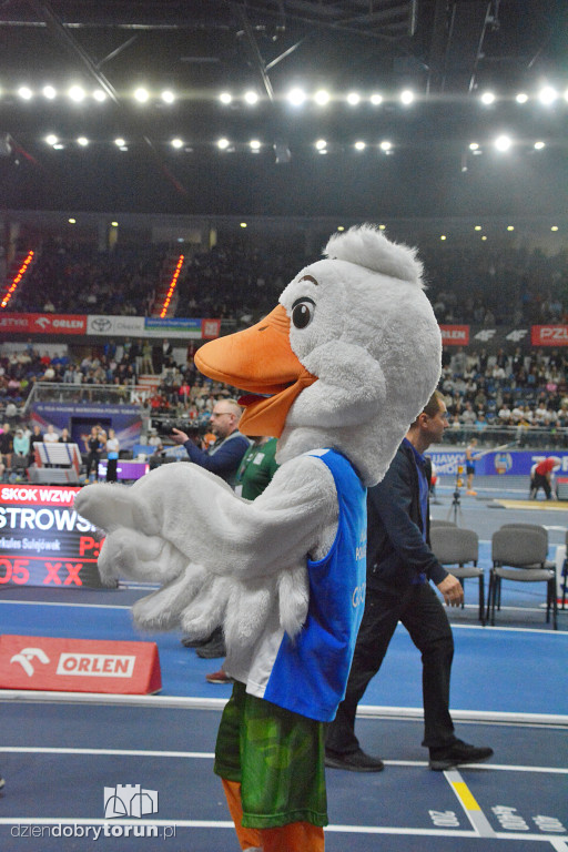 Halowe Mistrzostwa Polski - dzień drugi