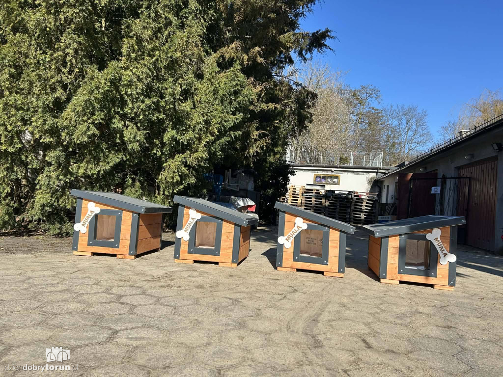 Książulo odwiedził toruńskie schronisko