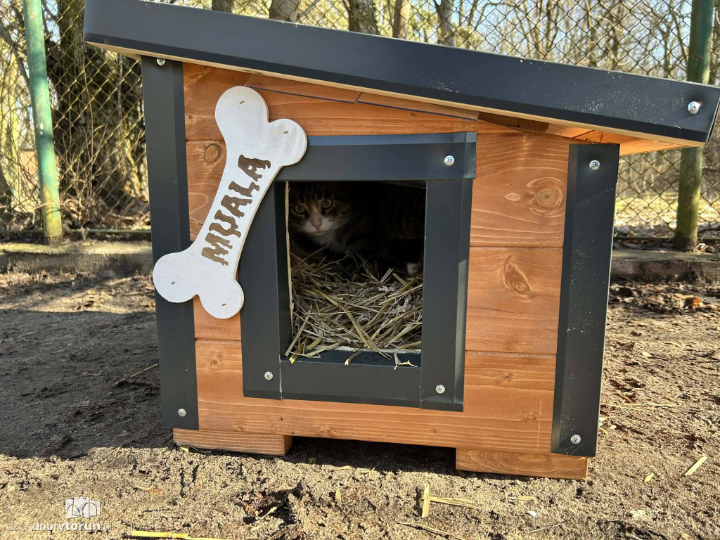 Książulo odwiedził toruńskie schronisko