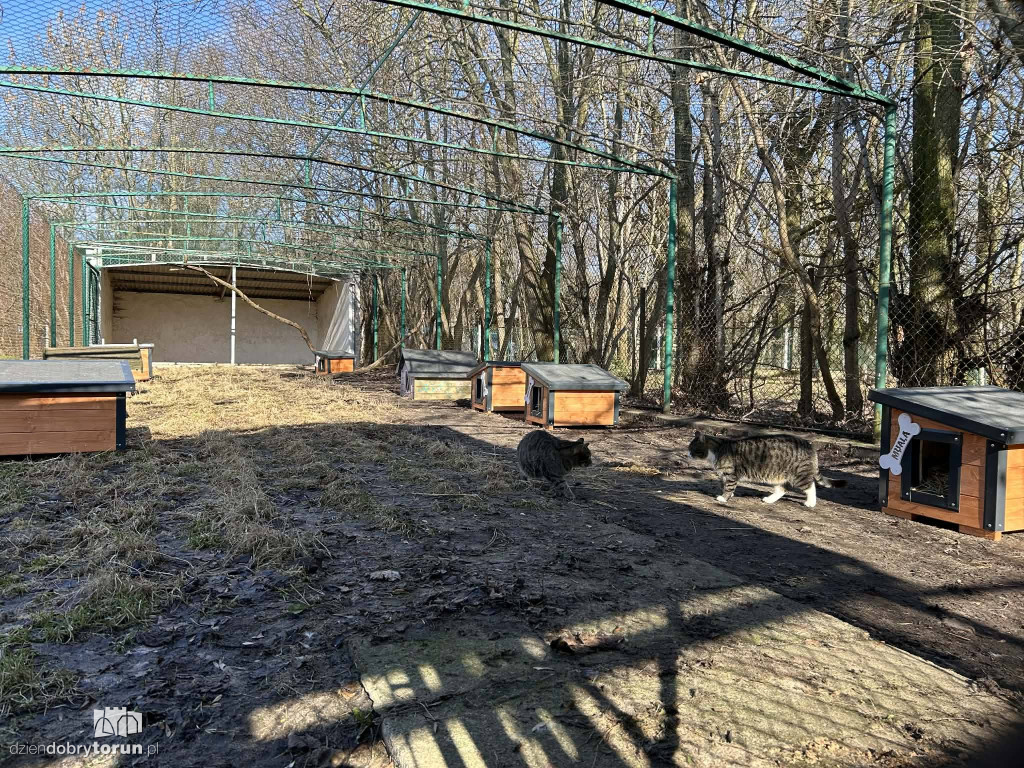 Książulo odwiedził toruńskie schronisko