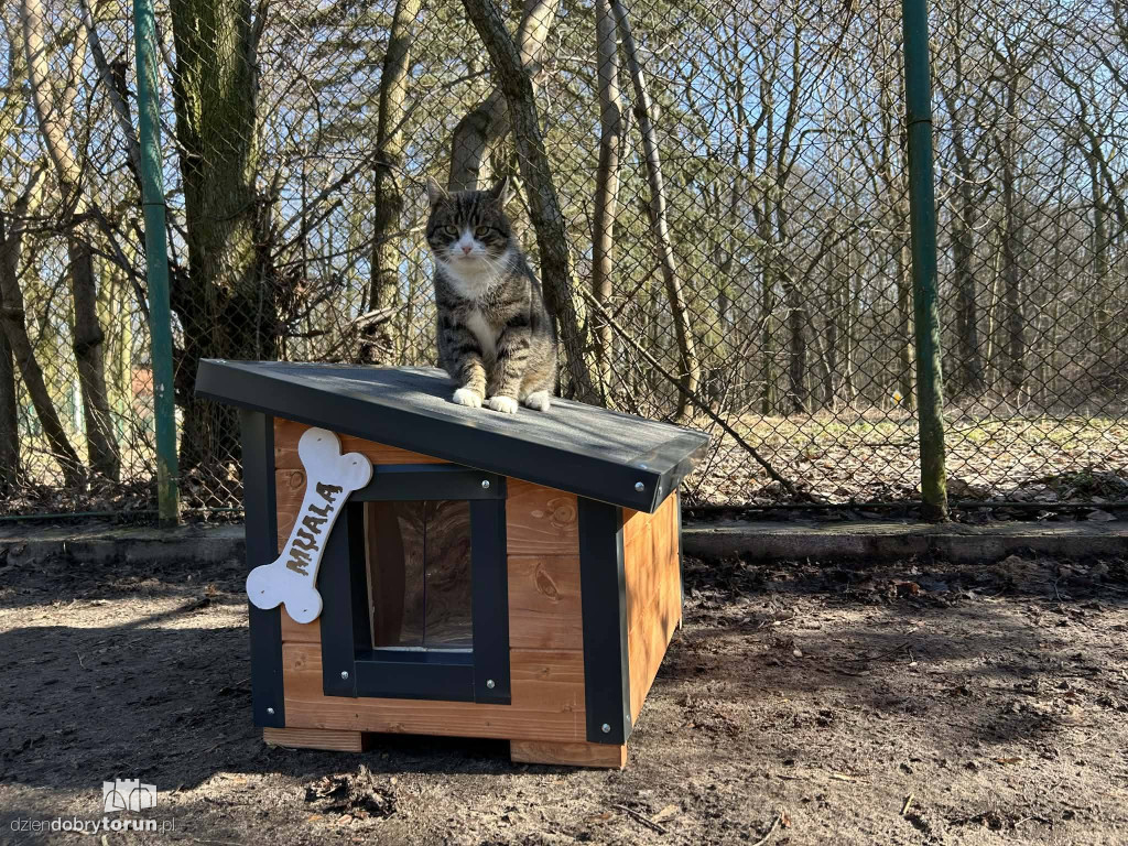 Książulo odwiedził toruńskie schronisko