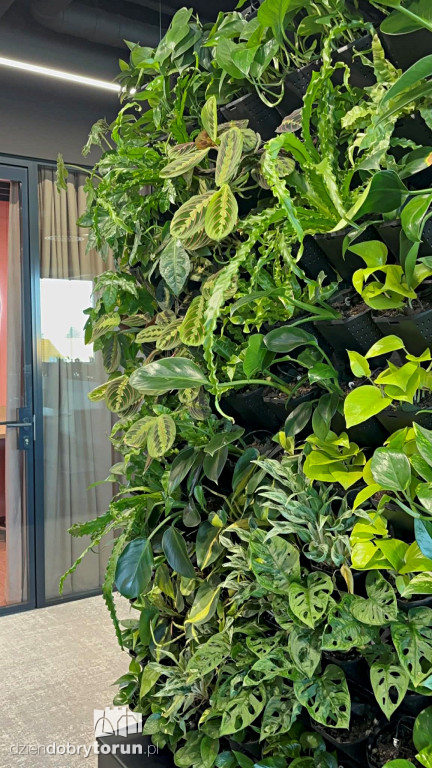 Otwarcie biurowca Lipowa Office Park