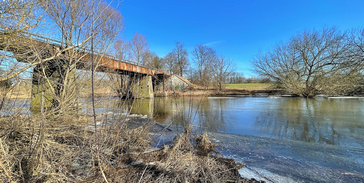 Tak wygląda Drwęca w Złotorii