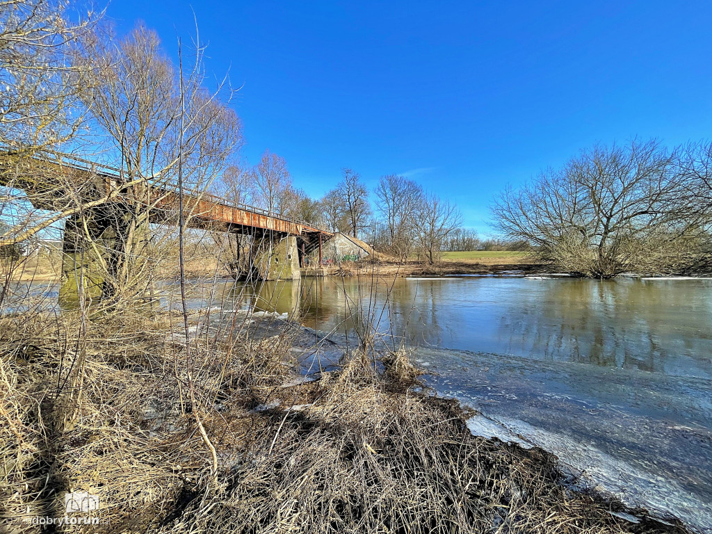 Tak wygląda Drwęca w Złotorii