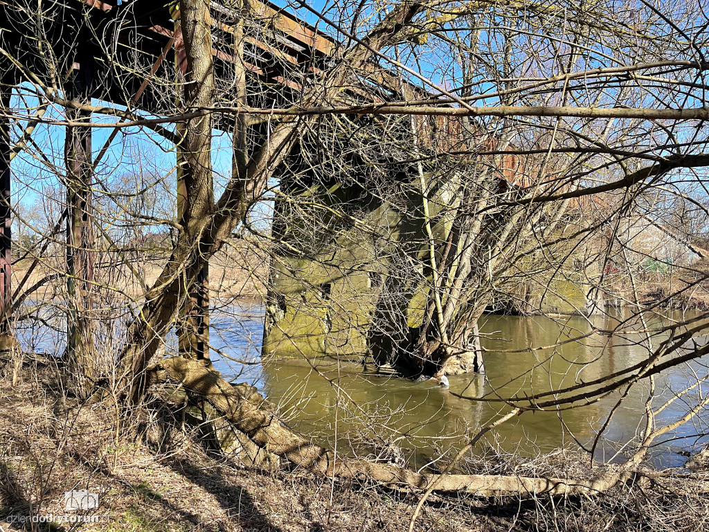 Tak wygląda Drwęca w Złotorii