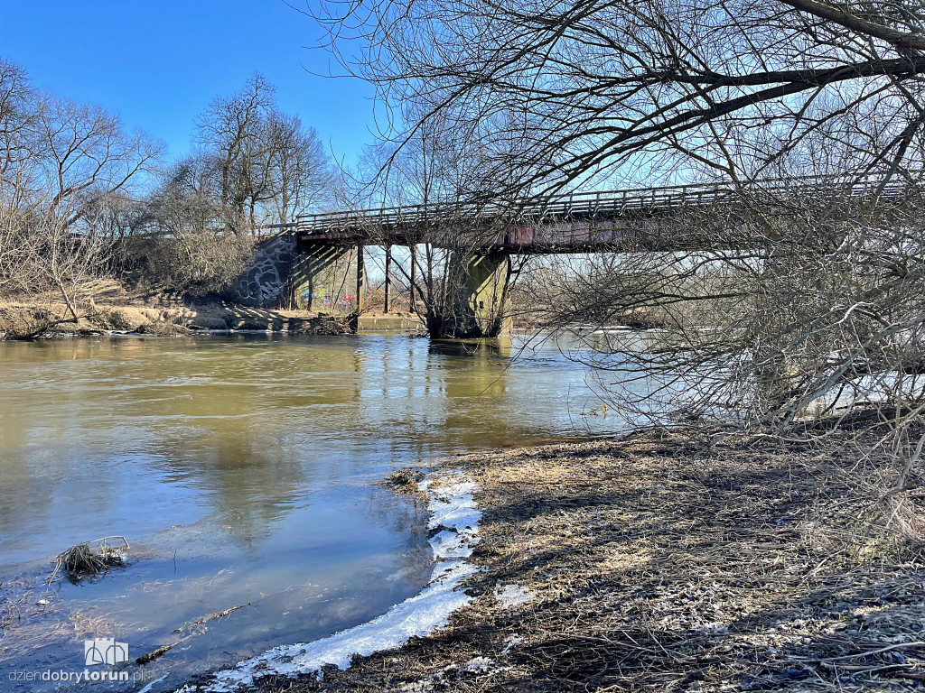 Tak wygląda Drwęca w Złotorii